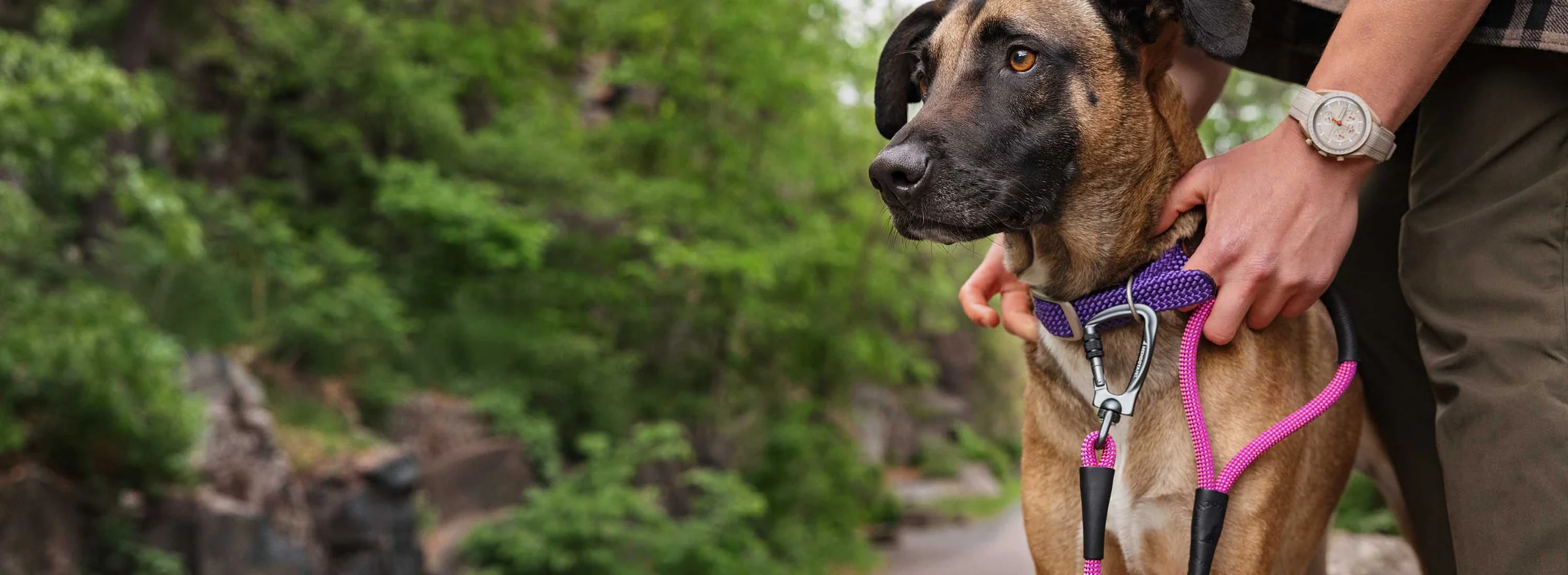 Timeless Gear for Loyal Companions